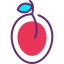 Plum アイコン 64x64