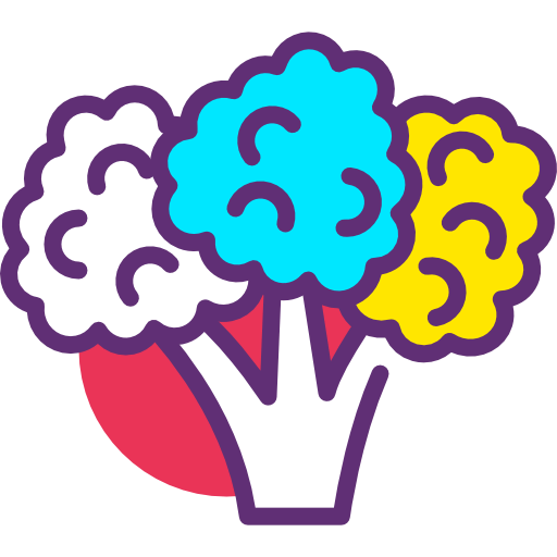 Broccoli icon