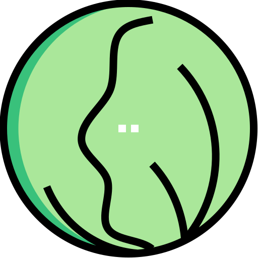 Cabbage 图标