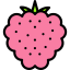 Raspberry icon 64x64
