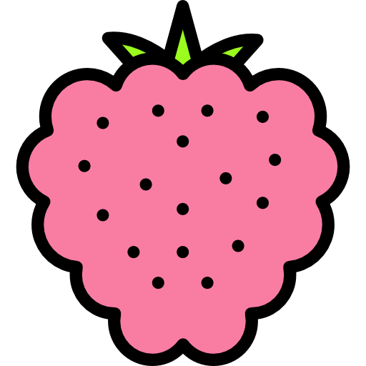 Raspberry icône