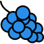 Grapes icon 64x64