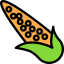 Maize icon 64x64