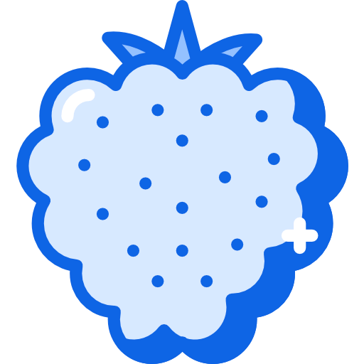 Raspberry ícone