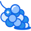 Grapes icon 64x64