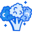 Broccoli icon 64x64