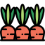 Carrots 图标 64x64