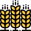 Cereals 图标 64x64