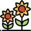 Sunflower 图标 64x64