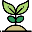Plant 图标 64x64