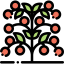 Tomato 图标 64x64