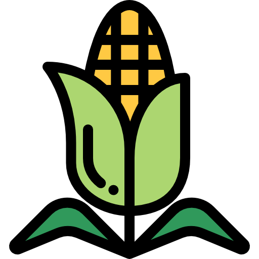 Corn icon