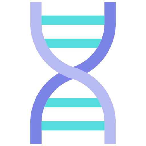 Dna structure icon