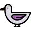 Duck icône 64x64
