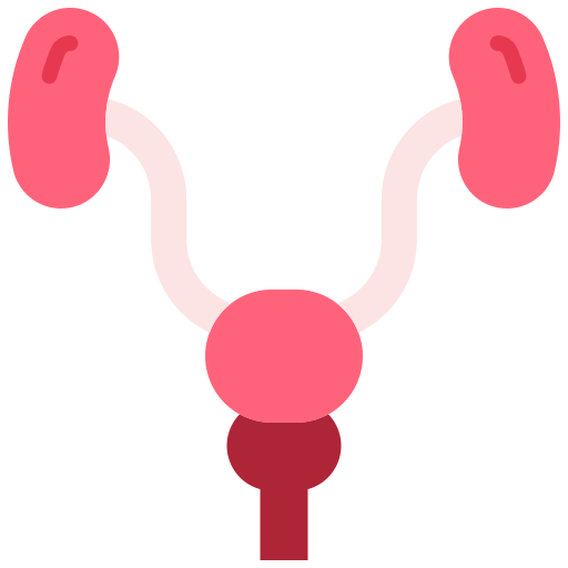 Prostate icon
