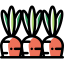 Carrots 图标 64x64