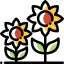 Sunflower 图标 64x64