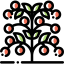 Tomato 图标 64x64