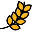 Wheat 图标 64x64