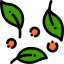 Salad 图标 64x64
