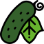 Cucumber 图标 64x64