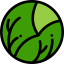 Lettuce 图标 64x64