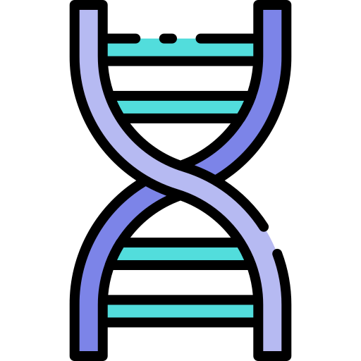 Dna structure icon