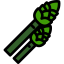 Asparagus 图标 64x64