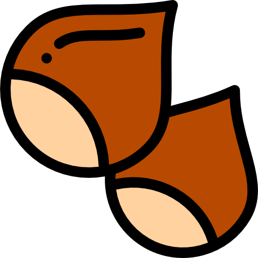 Acorn 图标