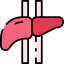 Liver icon 64x64