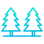 Pines icône 64x64