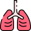 Lungs icon 64x64