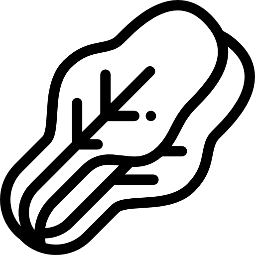 Cabbage icon