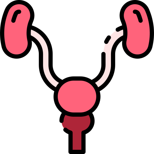 Prostate icon