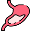 Stomach icon 64x64