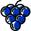 Grapes Ikona 64x64