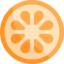 Orange slice ícone 64x64
