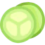 Cucumber slice ícone 64x64