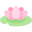 Water lily ícone 64x64