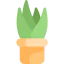 Aloe vera ícone 64x64