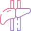 Liver icône 64x64