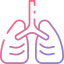 Lungs icône 64x64