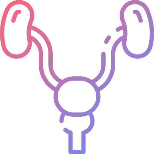 Prostate icon