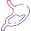Stomach icône 64x64