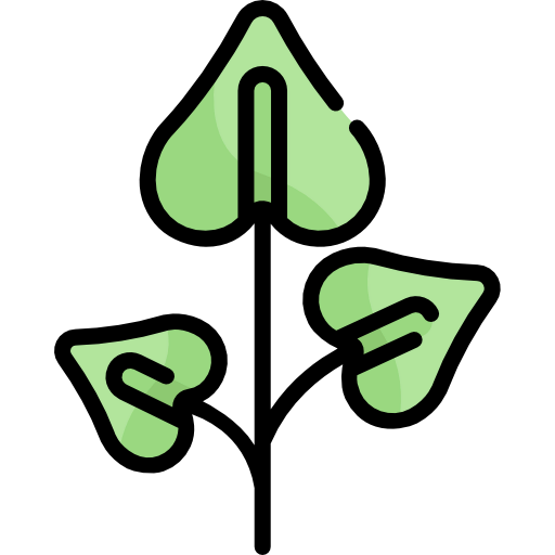 Branch icon