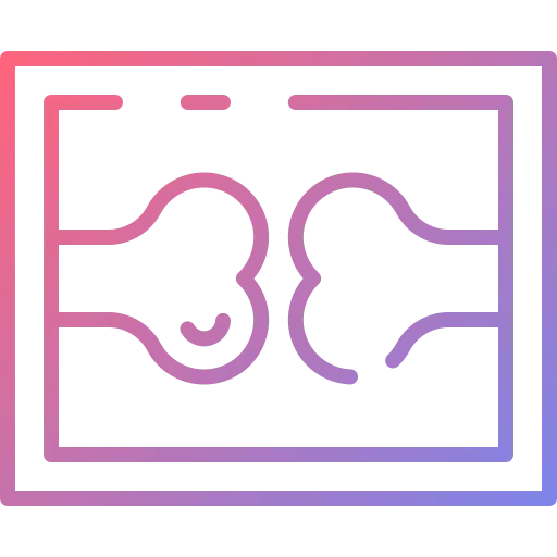 X-rays 图标