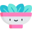 Salad icon 64x64