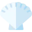Shell icon 64x64