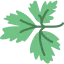 Parsley icon 64x64