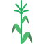 Corn icon 64x64